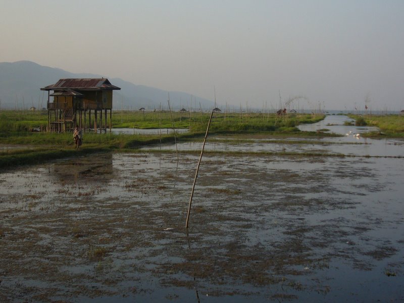 Travel - Myanmar - Inle Lake - First Boat Trip - The boat-drivers village - Rice and Cigars